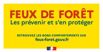 Prevention-des-incendies-de-foret_large.jpg